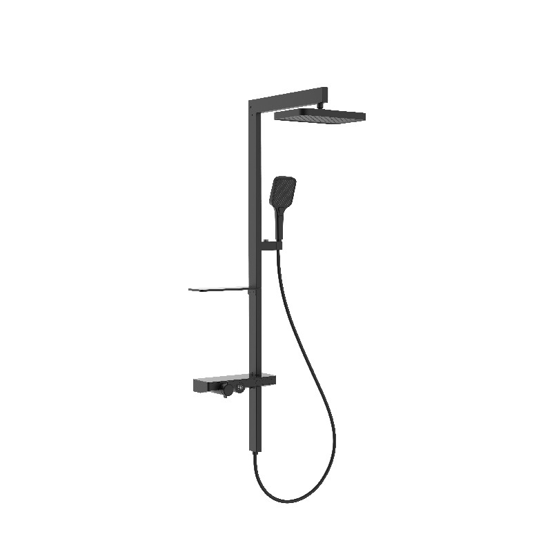 HL-2493B Wall mounted tree style shower panel system with rain shower head ,handheld shower and thermostatic mixer for bathroom
