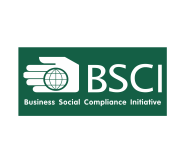 BSCI Audit