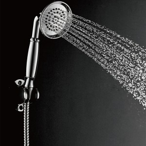 1F1218 One Function Brass Vintage Handheld shower head for Bathroom