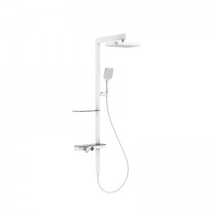 HL-2493B Wall mounted tree style shower panel system with rain shower head ,handheld shower and thermostatic mixer for bathroom